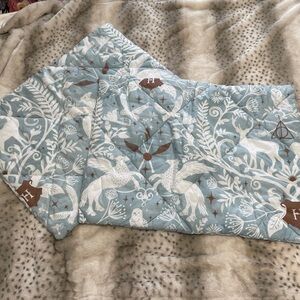 Harry Potter Pottery Barn Teen Magical Damask Mint Pillow Shams (x2)